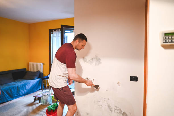 Best Office Mold Removal Services  in Brookhaven, PA